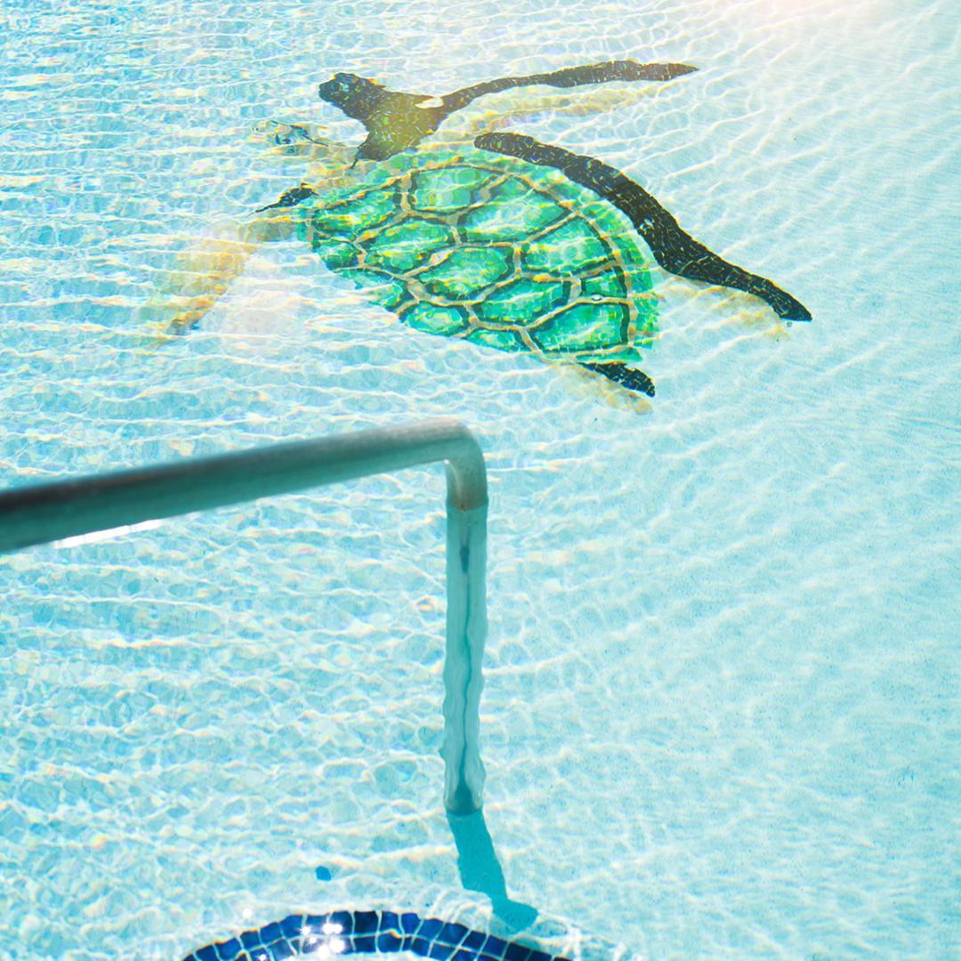 Sea Of Cortez Beach Club San Carlos Nuevo Guaymas Kültér fotó
